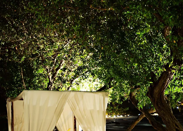 Resort Hilton Grand Vacations Club